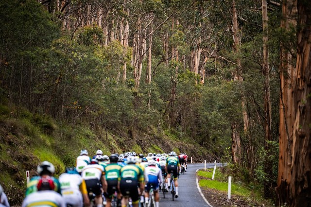 f:id:yoshitakucha:20251026225258j:image f:id:yoshitakucha:20251026225258j:image