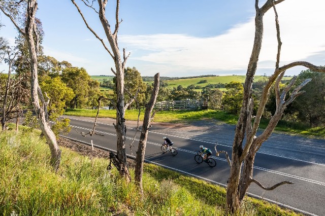 f:id:yoshitakucha:20251026225351j:image f:id:yoshitakucha:20251026225351j:image