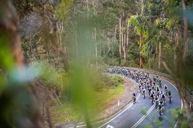 f:id:yoshitakucha:20251026225444j:image f:id:yoshitakucha:20251026225444j:image