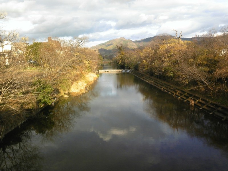 f:id:yoshitomushi:20101222155106j:image