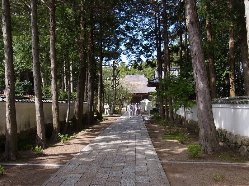 f:id:yoshitomushi:20120415220813j:image