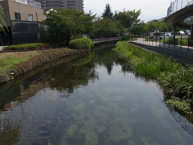 f:id:yoshitomushi:20130910221627j:image f:id:yoshitomushi:20130910221627j:image