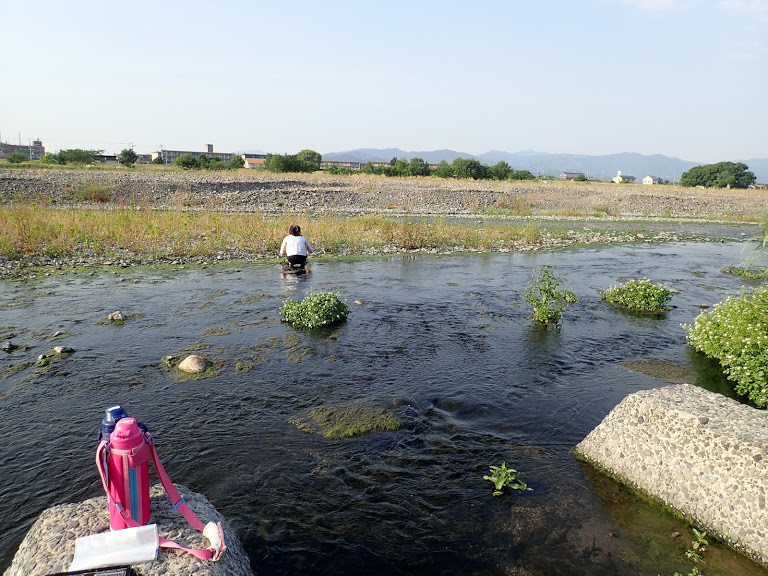f:id:yoshitomushi:20190527220506j:plain f:id:yoshitomushi:20190527220506j:plain