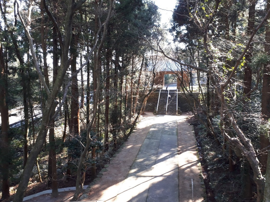 f:id:yoshitomushi:20200114084046j:plain
