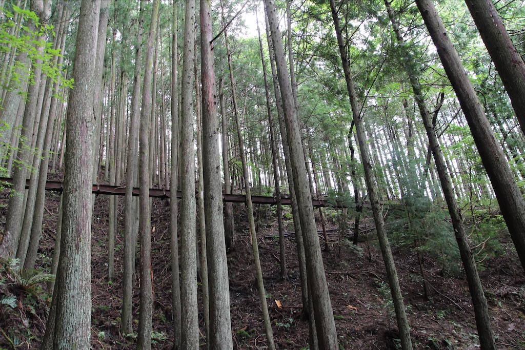 f:id:yoshitugu1967:20210330210056j:image