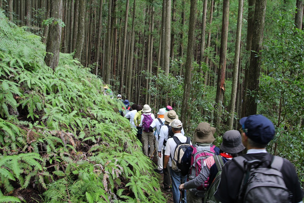 f:id:yoshitugu1967:20210330210152j:image