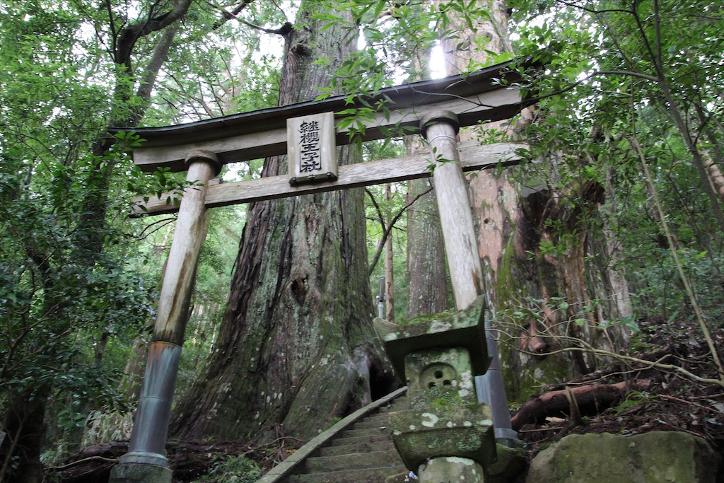 f:id:yoshitugu1967:20210330212855j:image