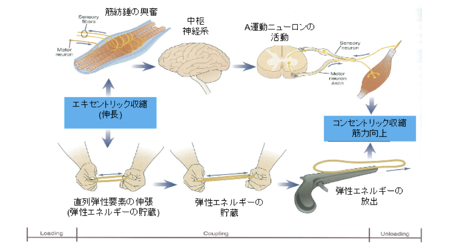 f:id:yoshiyukimatsuno:20180713183724p:plain f:id:yoshiyukimatsuno:20180713183724p:plain