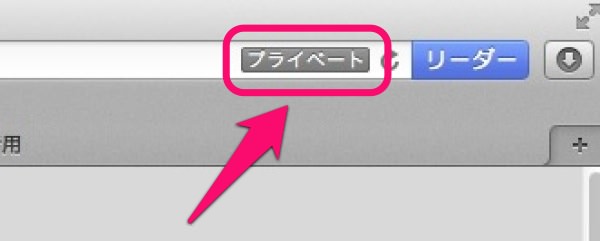 f:id:yoshizoblog:20140116013748j:plain ウィンドウ右上に「プライベート」と表示される