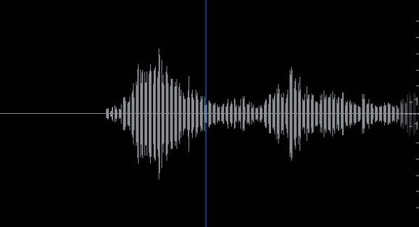f:id:yoshizoblog:20140823190712j:plain 音声波形画像
