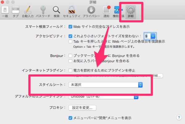 f:id:yoshizoblog:20141111223047j:plain Safariの環境設定にある「詳細」画面