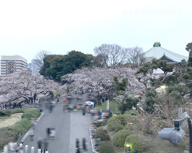 靖国神社へ歩道橋からみた千鳥ヶ淵の桜 武道館も見える