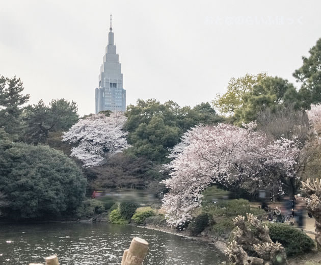 ドコモタワー(NTTドコモ代々木ビル)も見える