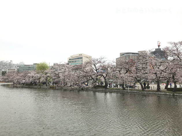 不忍池の中を桜並木が続いている
