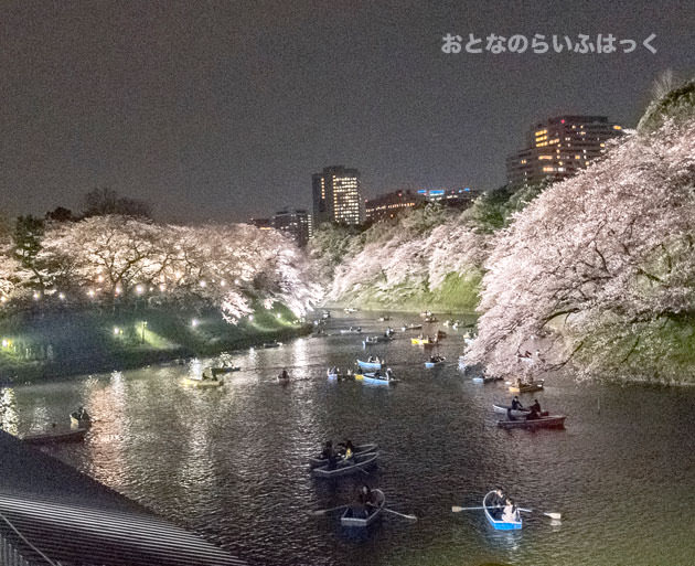 千鳥ヶ淵緑道の桜とボートを撮影 この写真を撮るのはひと苦労
