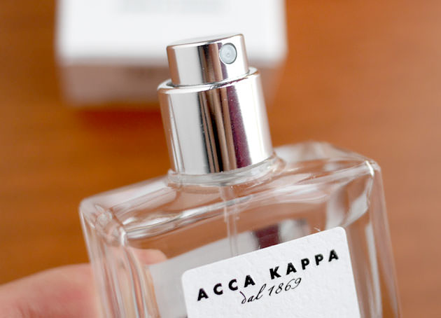 プッシュして吹きかけるタイプ