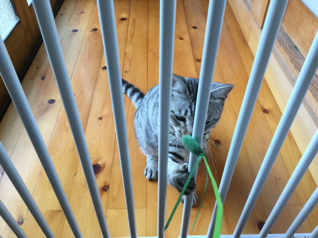 f:id:yosi0605:20170729085838j:plain f:id:yosi0605:20170729085838j:plain