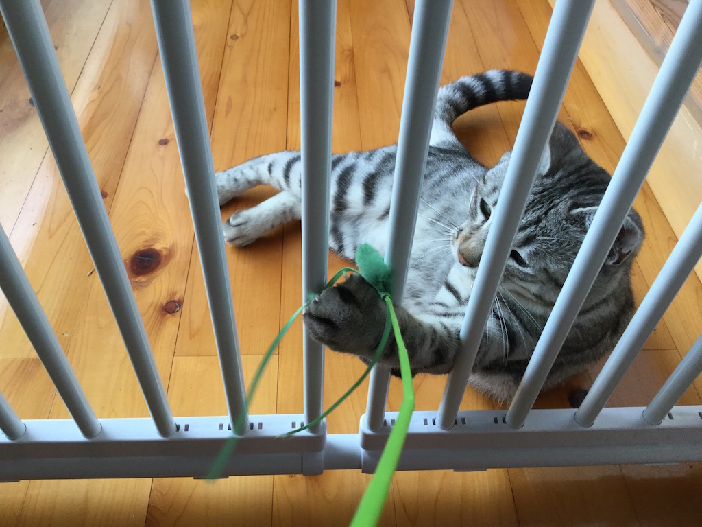 f:id:yosi0605:20170729085938j:plain f:id:yosi0605:20170729085938j:plain