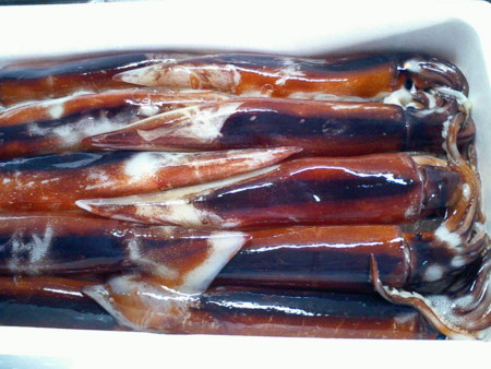 f:id:yosihira:20090903164242j:image f:id:yosihira:20090903164242j:image