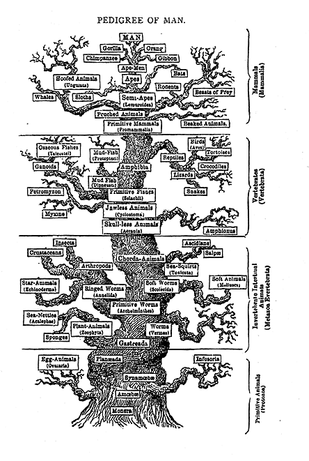 f:id:yosikazuf:20120605100113g:image:w360