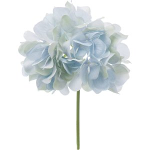 f:id:yosikazukun:20200525142631j:plain