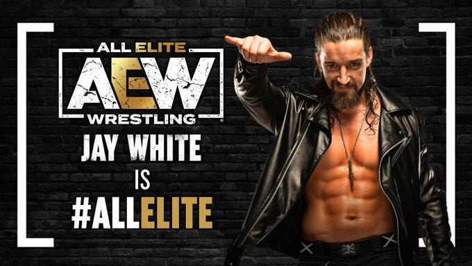 AEW ジェイ・ホワイト フィギュア 新日本プロレス バレットクラブ AEW ジェイ・ホワイト フィギュア 新日本プロレス バレットクラブ
