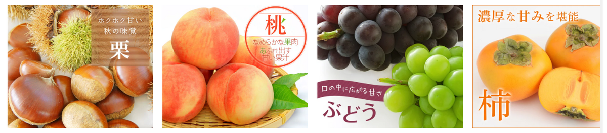 【JAタウン】還元率の高いポイントサイトでポイ活！