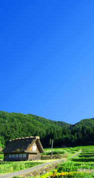 20071023025406