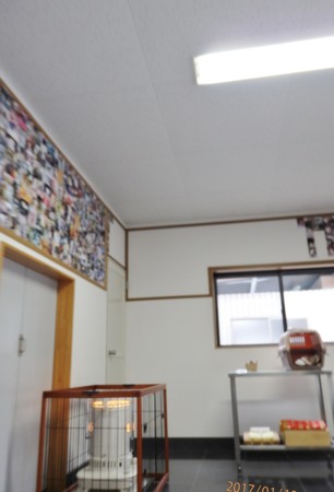f:id:yosinonosato:20170119095816j:image:w360 f:id:yosinonosato:20170119095816j:image:w360