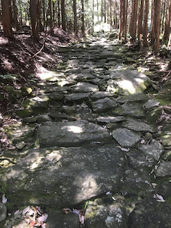 f:id:yosinoo:20180821074225p:plain