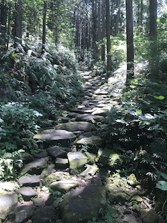 f:id:yosinoo:20180821074415p:plain