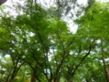 20110918102227