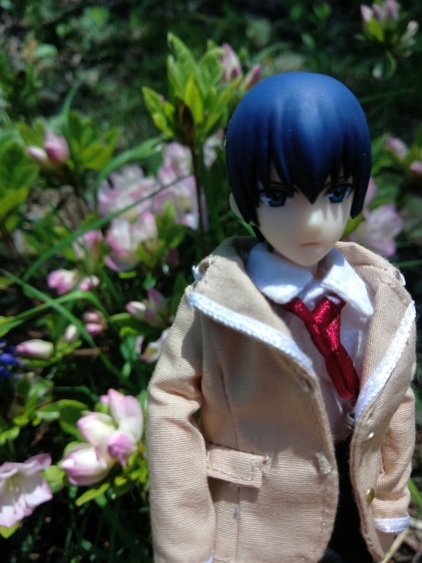f:id:yosiokakanon3:20190524174848j:plain f:id:yosiokakanon3:20190524174848j:plain