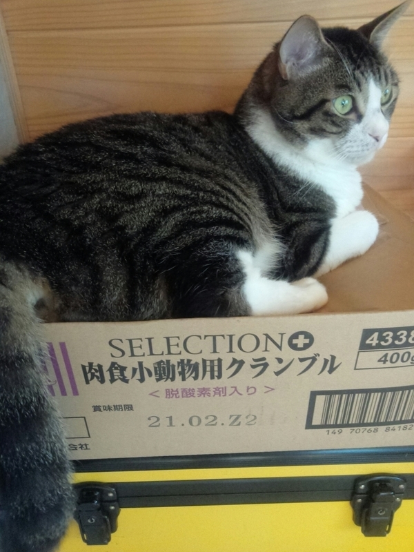 f:id:yosiokakanon3:20190901183402j:plain f:id:yosiokakanon3:20190901183402j:plain