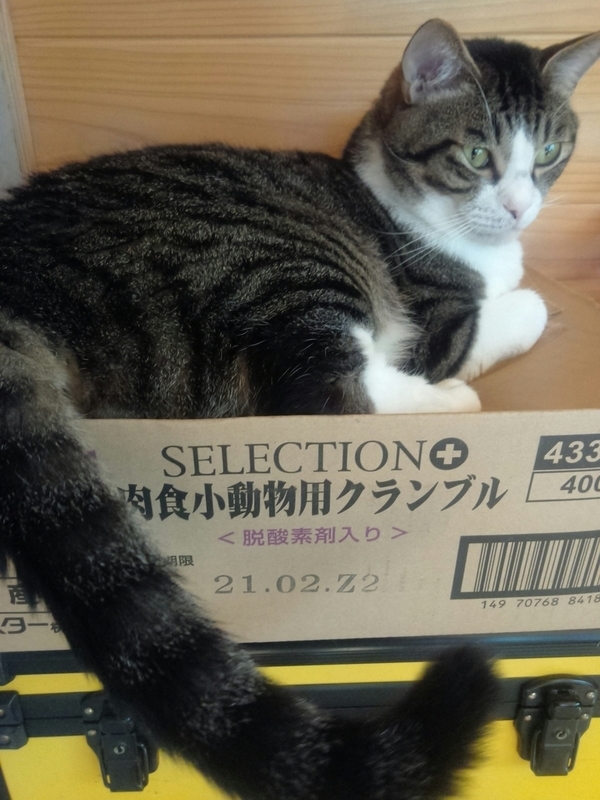 f:id:yosiokakanon3:20190901183542j:plain f:id:yosiokakanon3:20190901183542j:plain