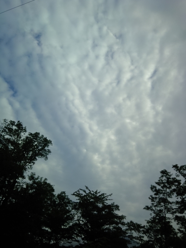 f:id:yosiokakanon3:20190901183740j:plain f:id:yosiokakanon3:20190901183740j:plain
