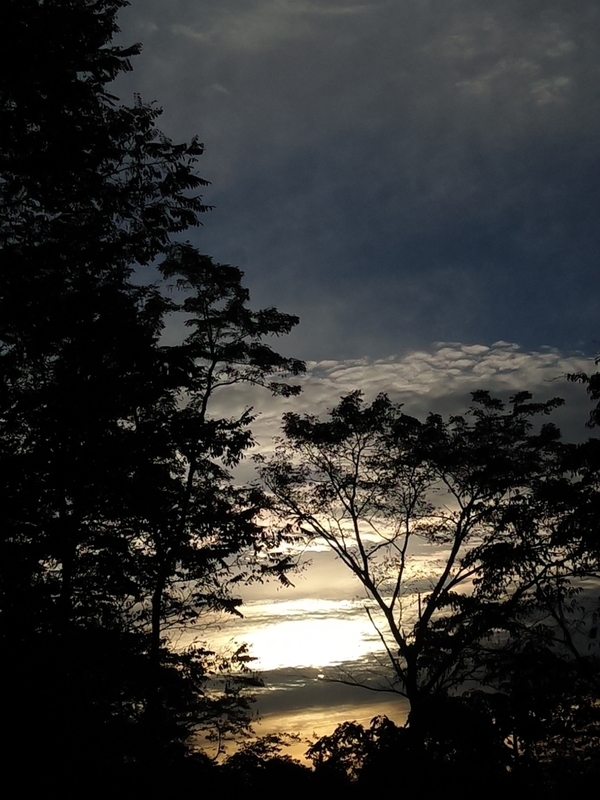 f:id:yosiokakanon3:20201027221018j:plain f:id:yosiokakanon3:20201027221018j:plain