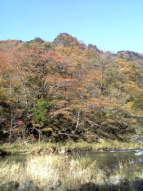 f:id:yosiosato:20061108122700j:image f:id:yosiosato:20061108122700j:image