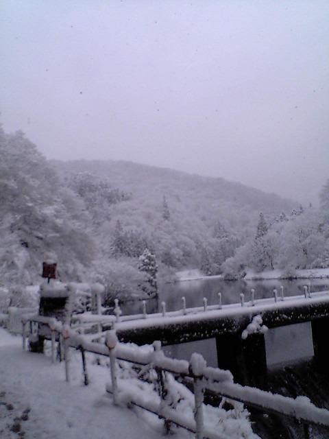 f:id:yosiosato:20070212074100j:image f:id:yosiosato:20070212074100j:image
