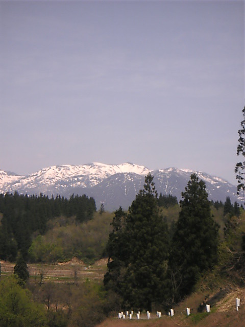 f:id:yosiosato:20070503124400j:image f:id:yosiosato:20070503124400j:image