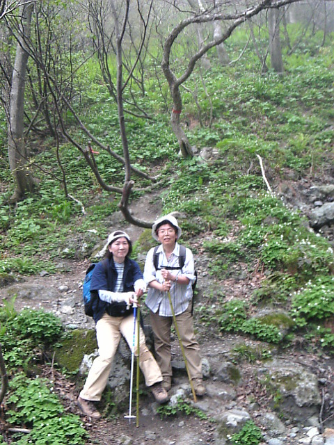 f:id:yosiosato:20070505103700j:image f:id:yosiosato:20070505103700j:image