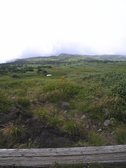f:id:yosiosato:20070815100800j:image f:id:yosiosato:20070815100800j:image