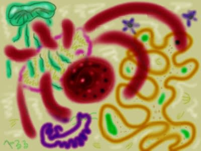 カンブリアにもいない生き物ー1.jpg