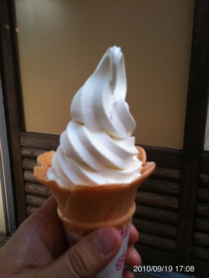 f:id:yositeru:20100921180506j:image