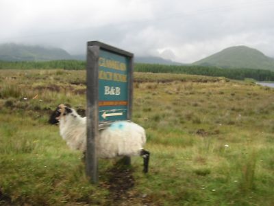 f:id:yositeru:20170126202206j:plain f:id:yositeru:20170126202206j:plain