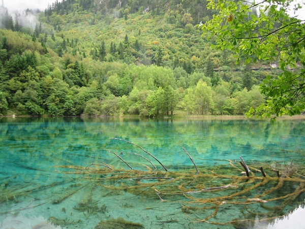 f:id:yositeru:20170812151932j:plain f:id:yositeru:20170812151932j:plain