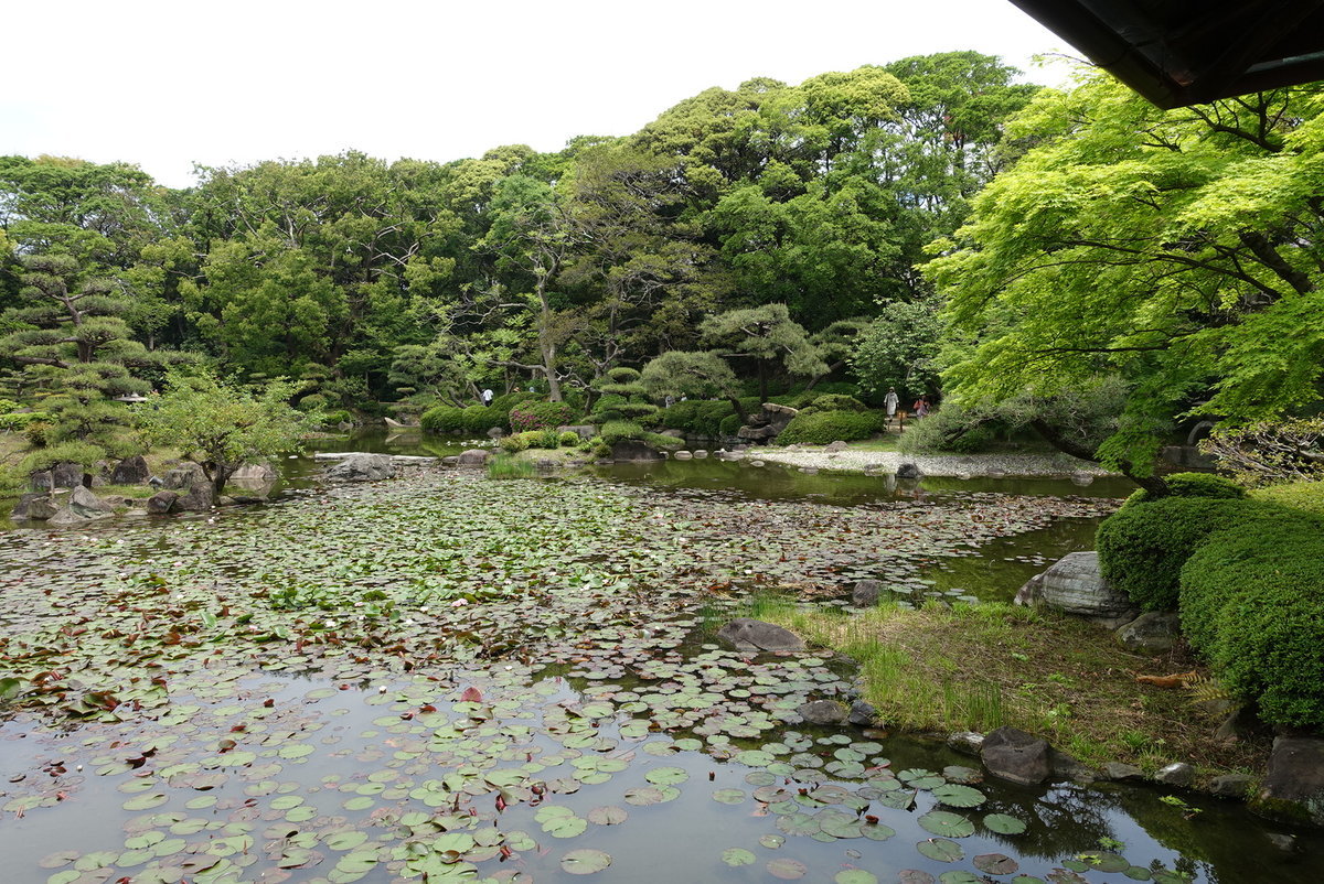 f:id:yositeru:20190505084638j:plain