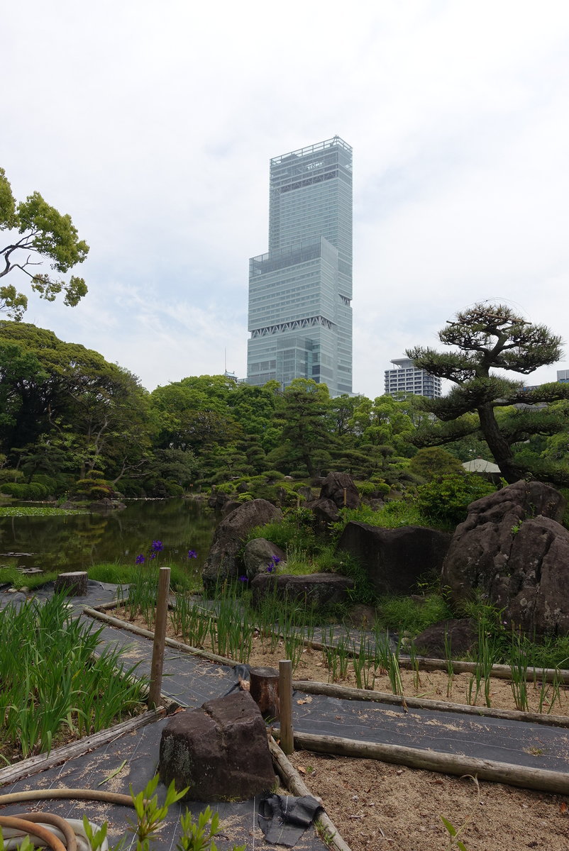 f:id:yositeru:20190505084740j:plain