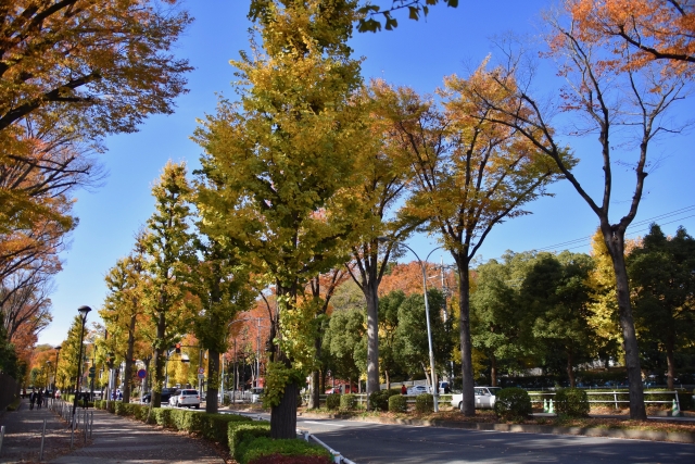 f:id:yosounohone:20200128120814j:plain