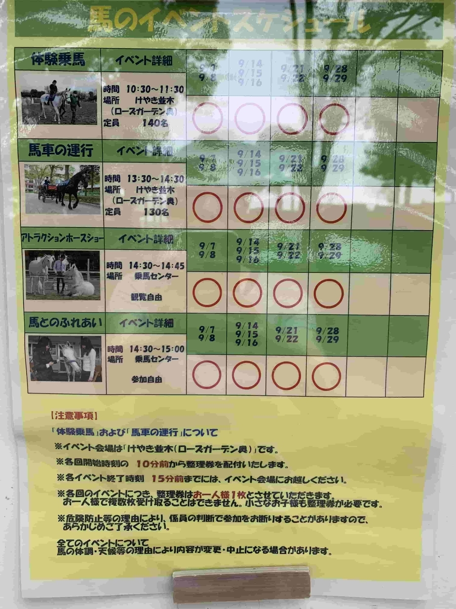 f:id:yosounohone:20200614090738j:plain